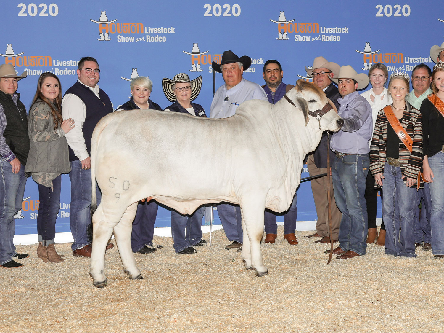 2020-HLSR-50-9