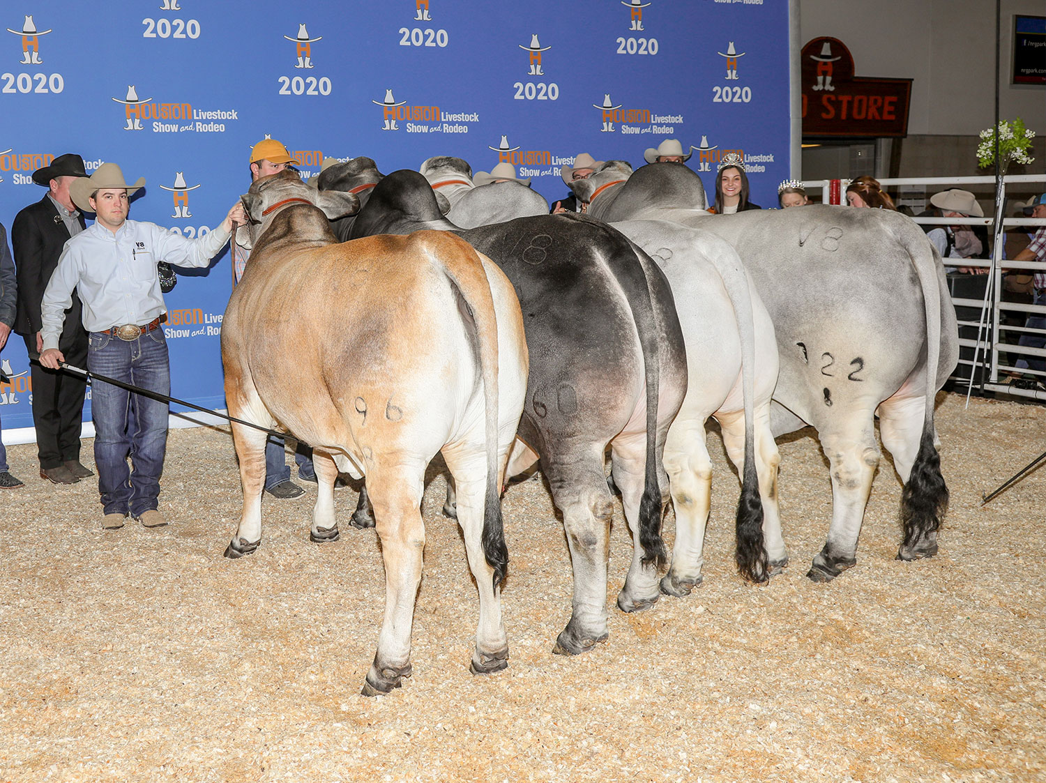 2020-HLSR-Get-of-Sire-380-6