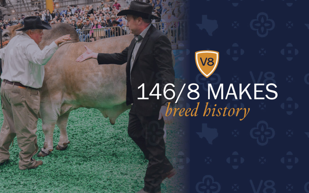 +Mr. V8 146/8 Makes Breed History