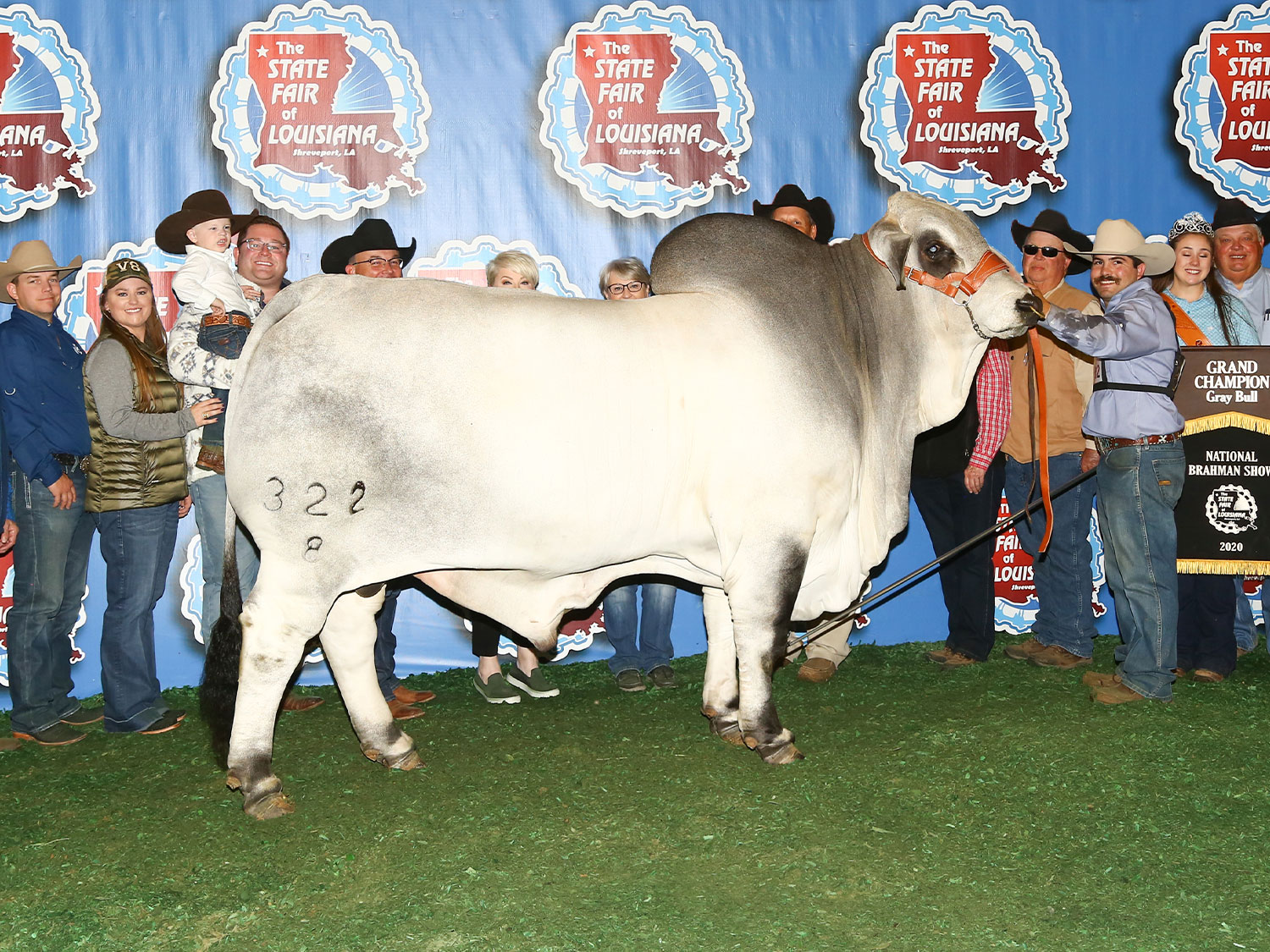 Mr. V8 322/8 2020 National Champion Bull at V8 Ranch