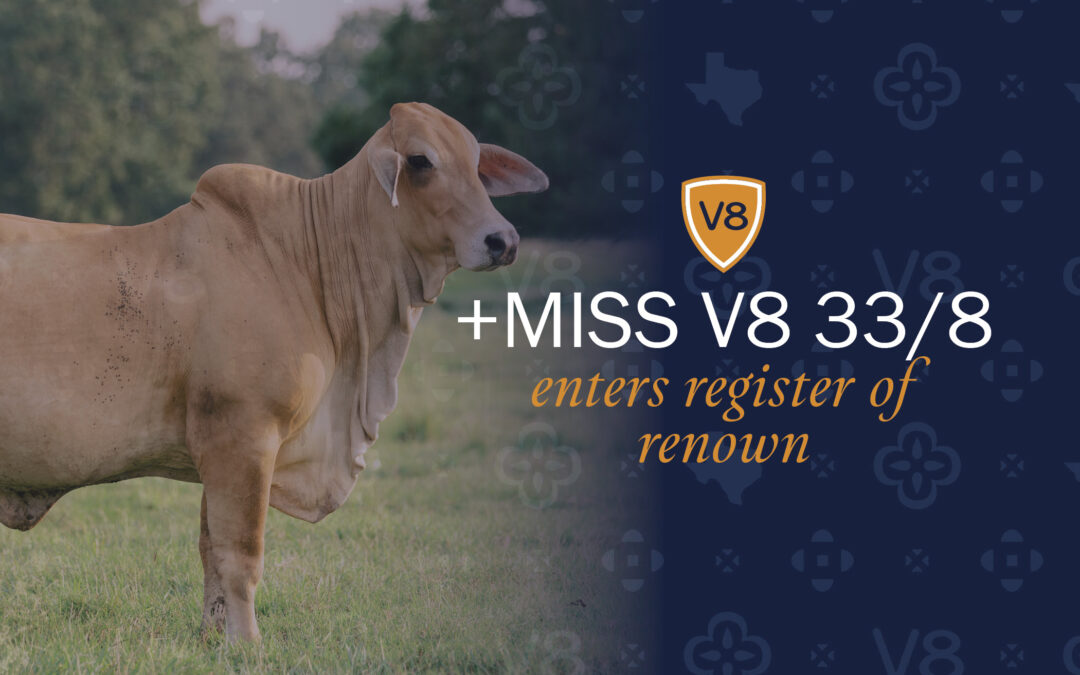 +Miss V8 33/8 Enters Register of Renown