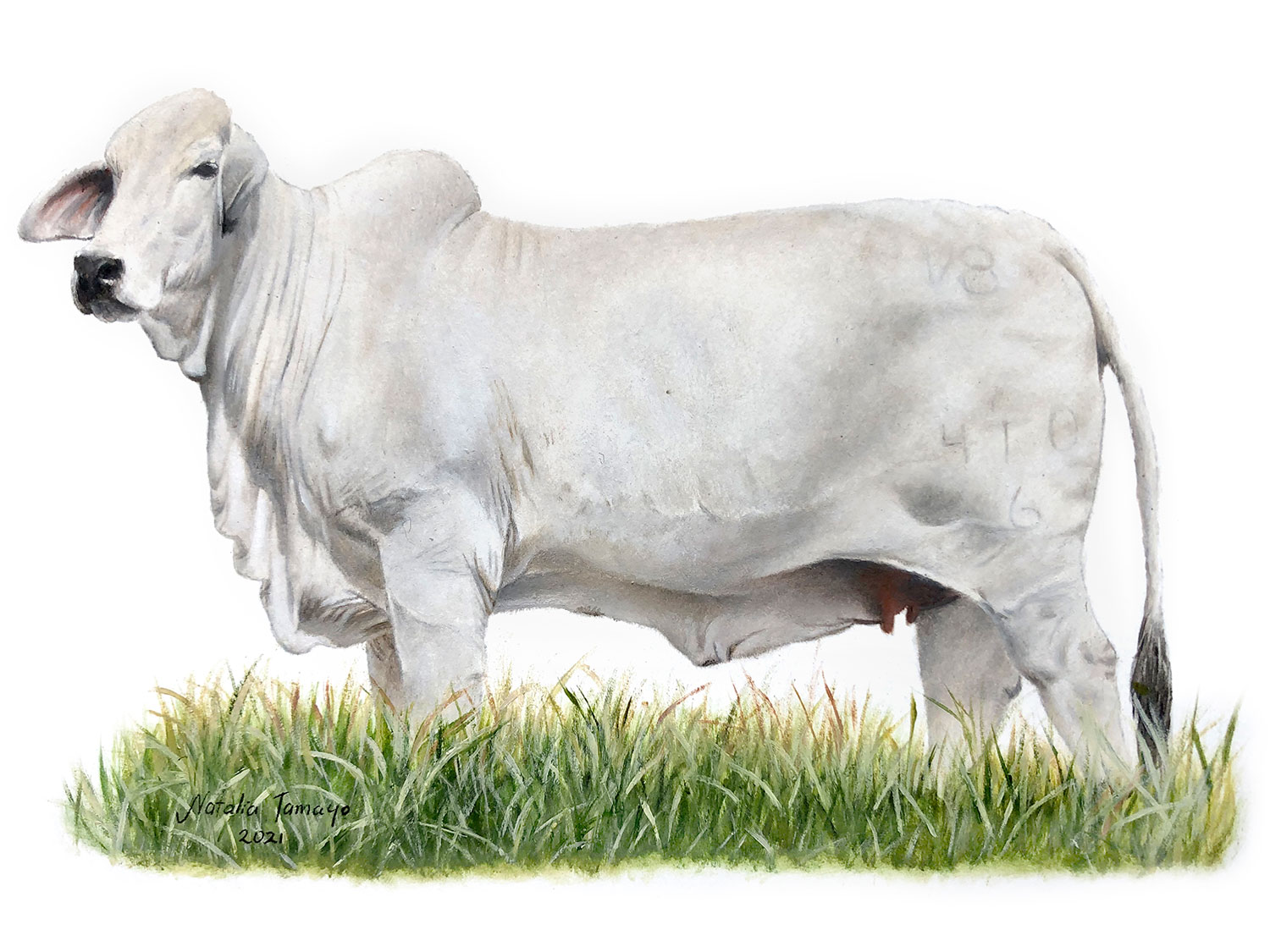 Miss-V8-410-6-Cow-Family