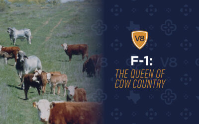 F-1: The Queen of Cow Country