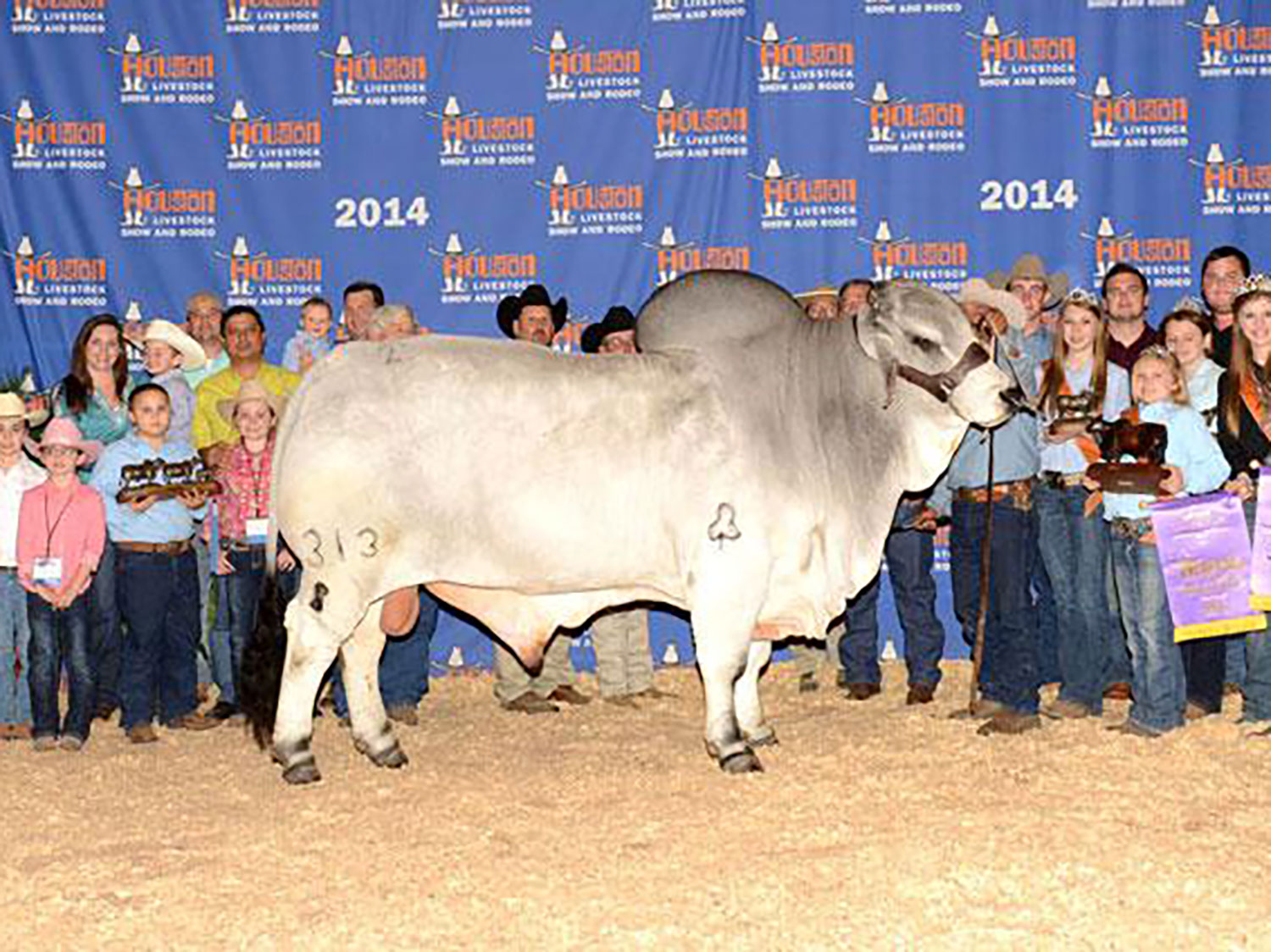 JDH-Clanton-De-Manso