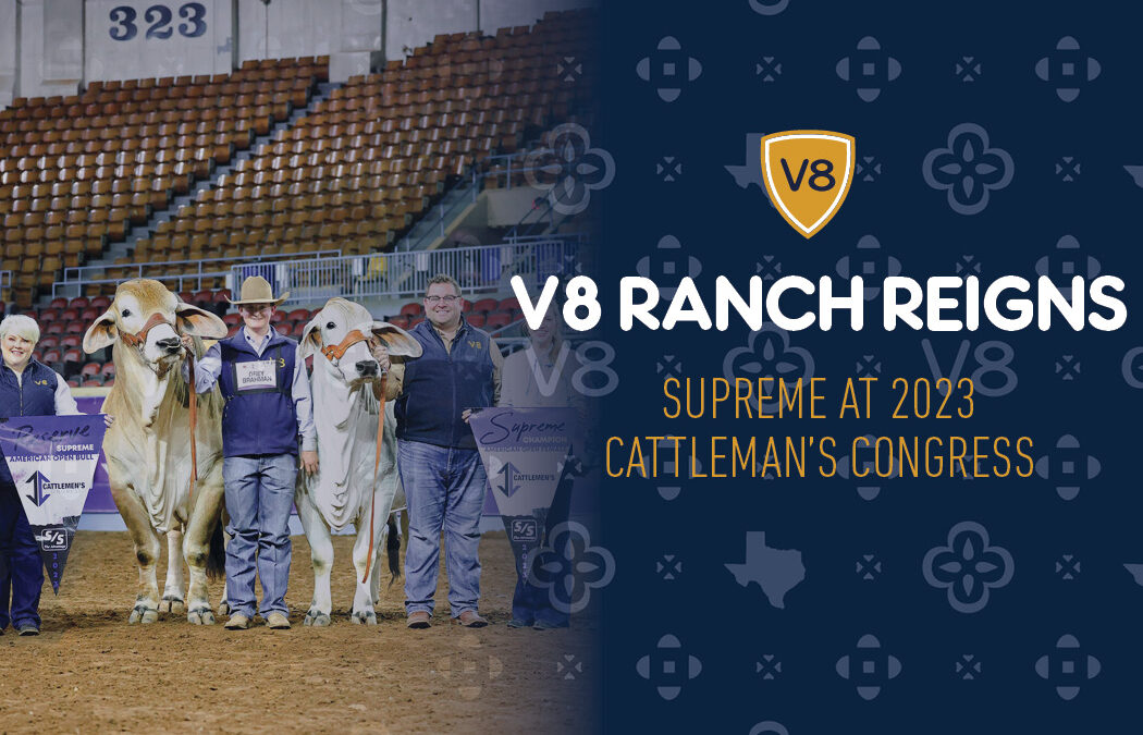 V8 Ranch Reigns Supreme at 2023 Cattleman’s Congress