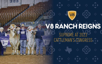 V8 Ranch Reigns Supreme at 2023 Cattleman’s Congress