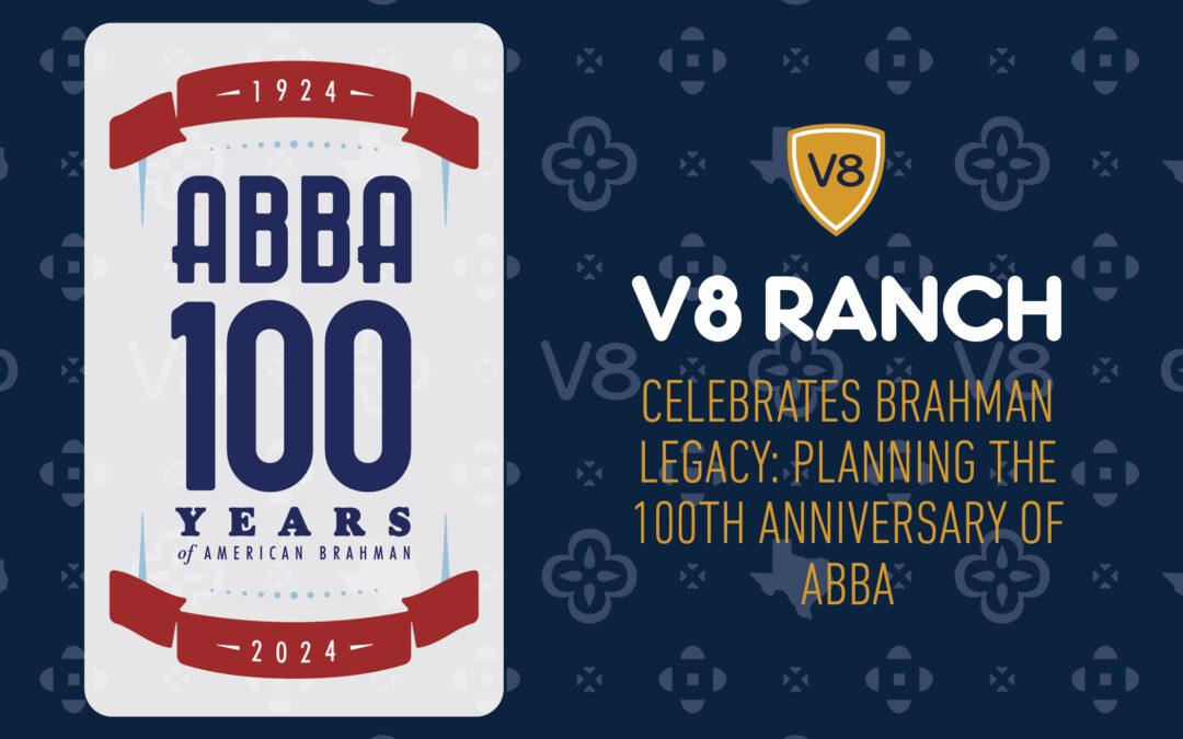 V8 Ranch Celebrates ABBA’s Legacy: Active Involvement in 100th Anniversary Planning