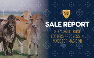 Sale Report: Made for Magic VII