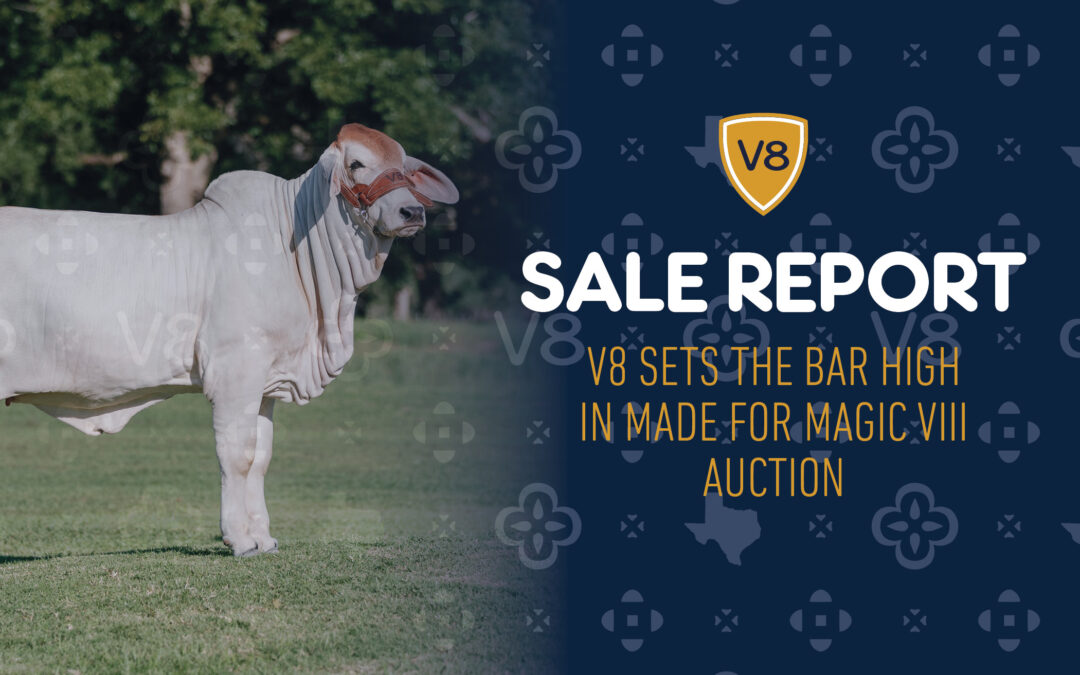 Sale Report: Made for Magic VIII