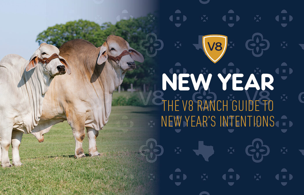 The V8 Ranch Guide to New Years Intentions