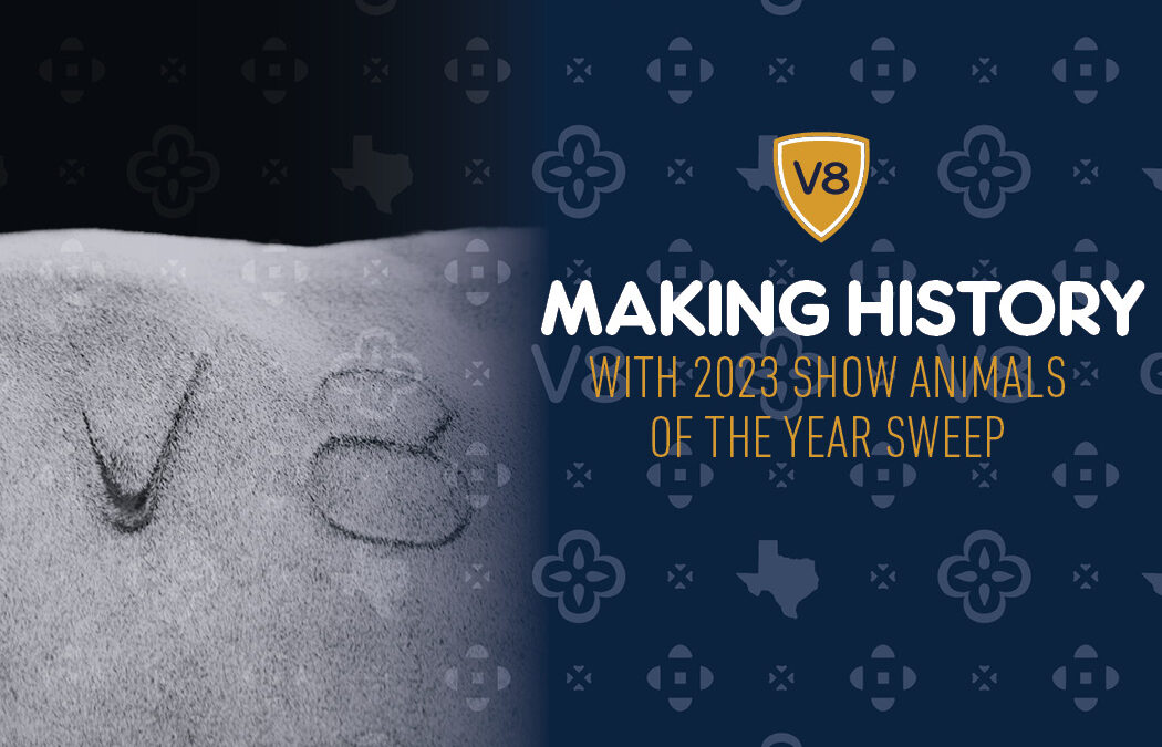 V8 Ranch Makes History with 2023 Show Animals of the Year Sweep