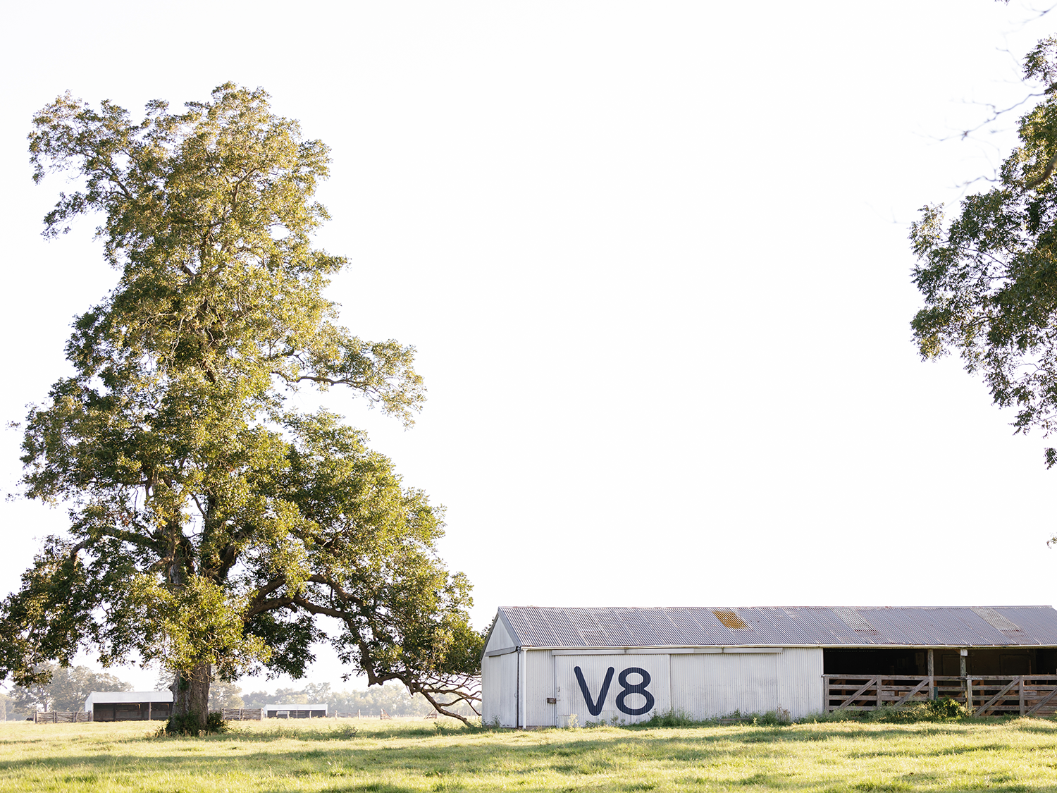 Soil and water conservation at V8 Ranch in South Texas. Soil and water conservation at V8 Ranch in South Texas.