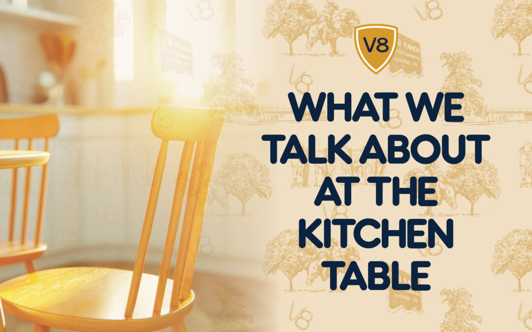 What We Talk About at the Kitchen Table