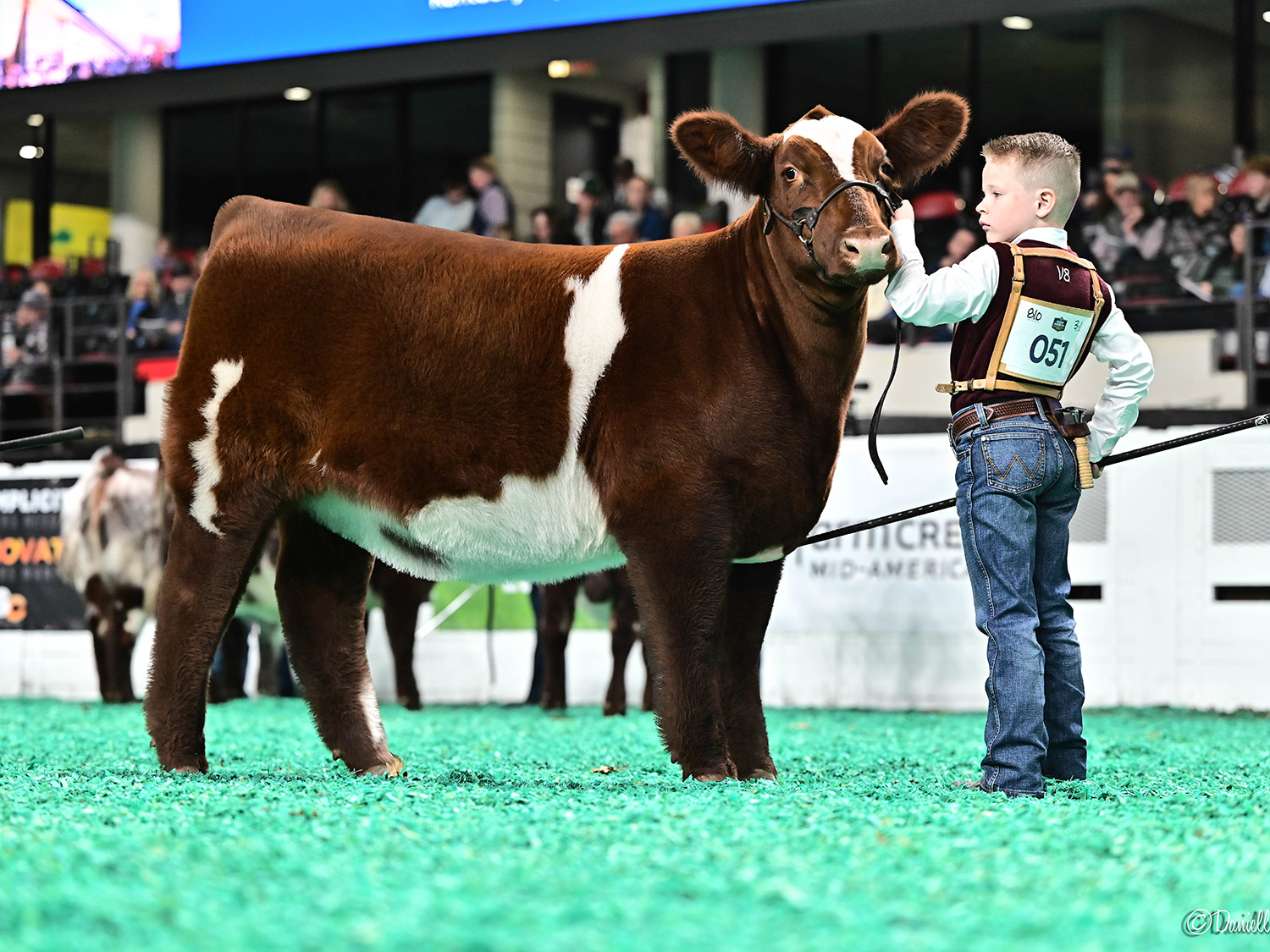 Knox Neumayr's Nerf Gun protection at Kavik