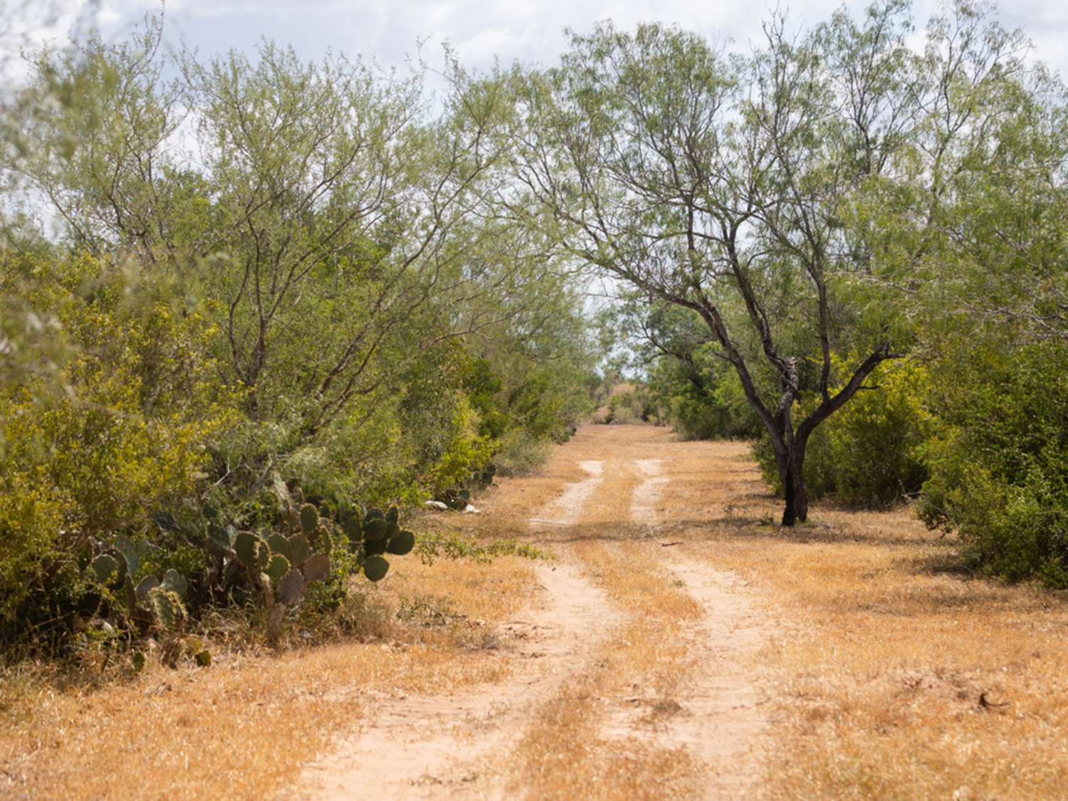 Knox stands on a sandy Arctic riverbank surrounded by blooming fireweed while exploring tracks near Kavik.<br />
