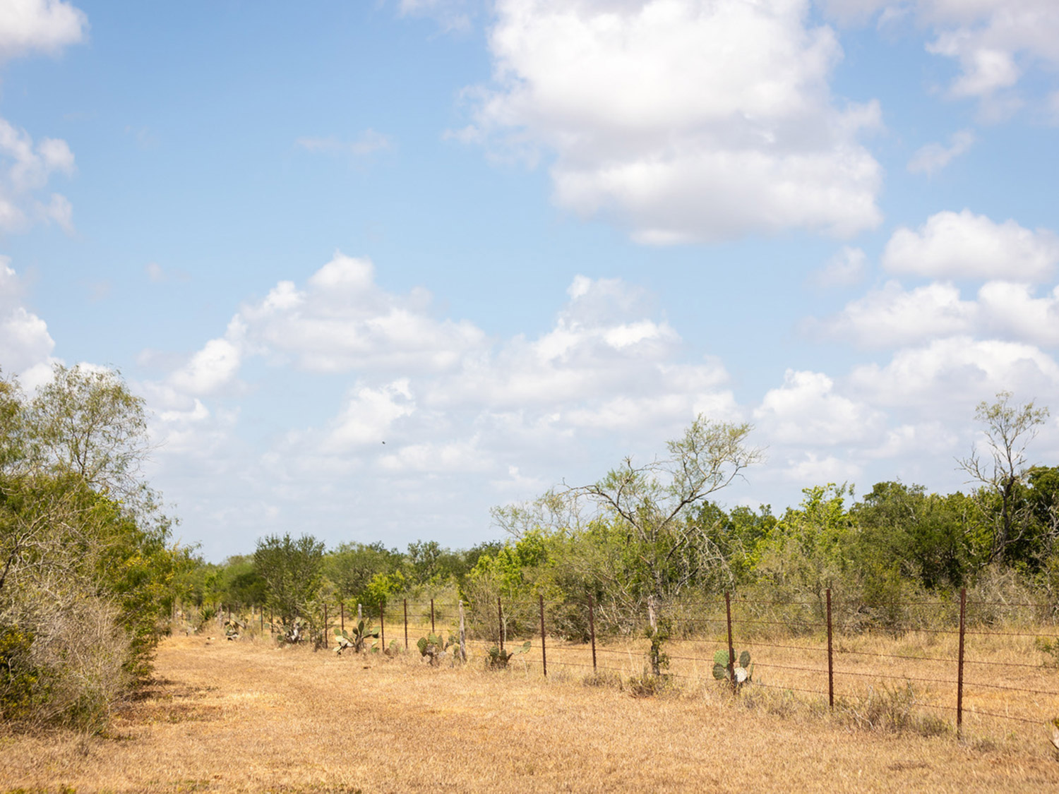 Life and learning unfold in wide-open South Texas.