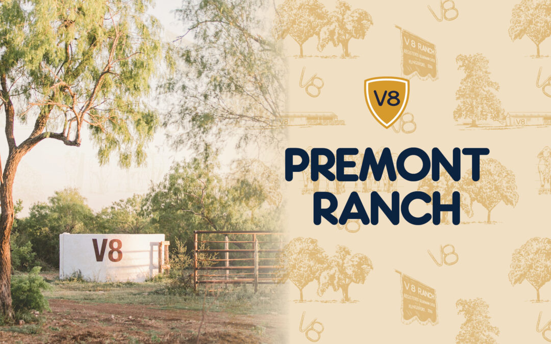Premont Ranch: A Brush Country Getaway
