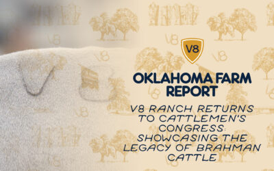 Cattlemen’s Congress Interview — Oklahoma City – Jan 12, 2026