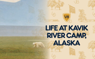 Why I Keep Going Back to Kavik River Camp