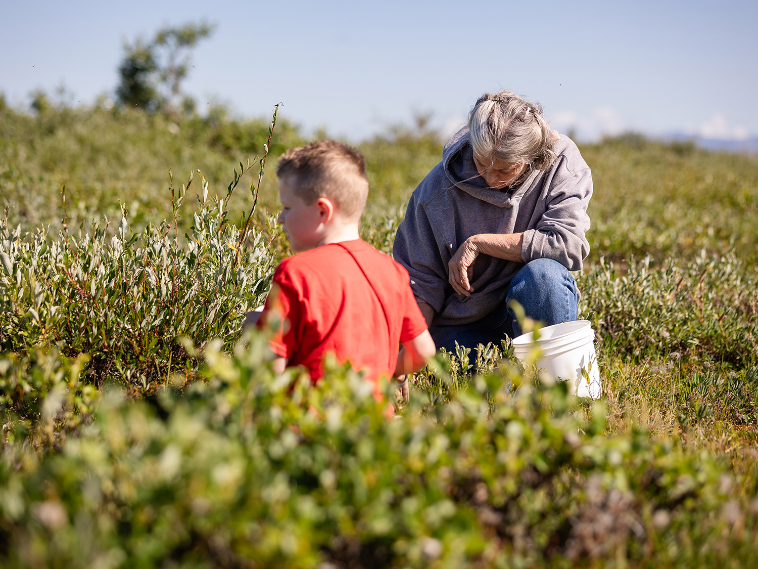 Sue Aikens shows Knox how to find ripe berries on the Arctic tundra—one of the many quiet, human moments you won’t see on Life Below Zero. Sue Aikens Teaching Berry Picking at Kavik River Camp Alaska<br />