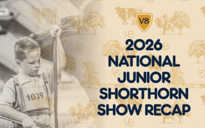 Restoration: Our 2026 Shorthorn Junior Nationals Story